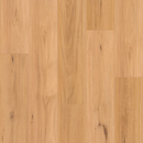 Blackbutt - 12.3mm Premium Laminate Flooring