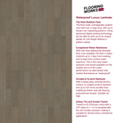 Classical Oak -12.3mm Laminate Flooring