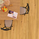 Blackbutt - 12.3mm Premium Laminate Flooring