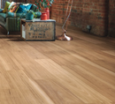 Spotted Gum Blonde - 3mm Vinyl Flooring