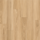 Light Blackbutt - 8.3mm Laminate Flooring