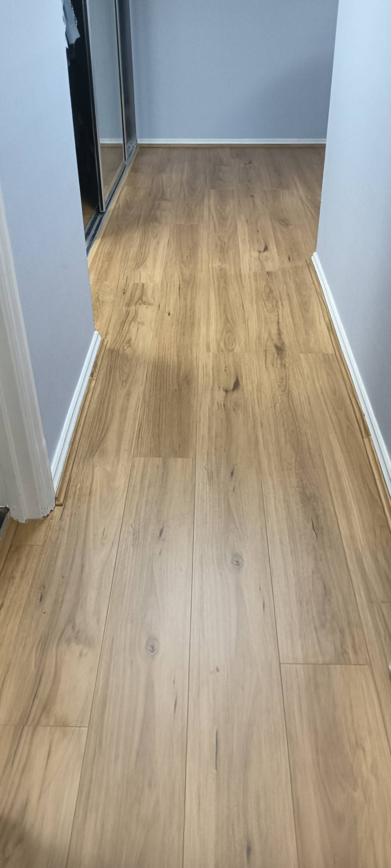 Blackbutt - 12.3mm Premium Laminate Flooring