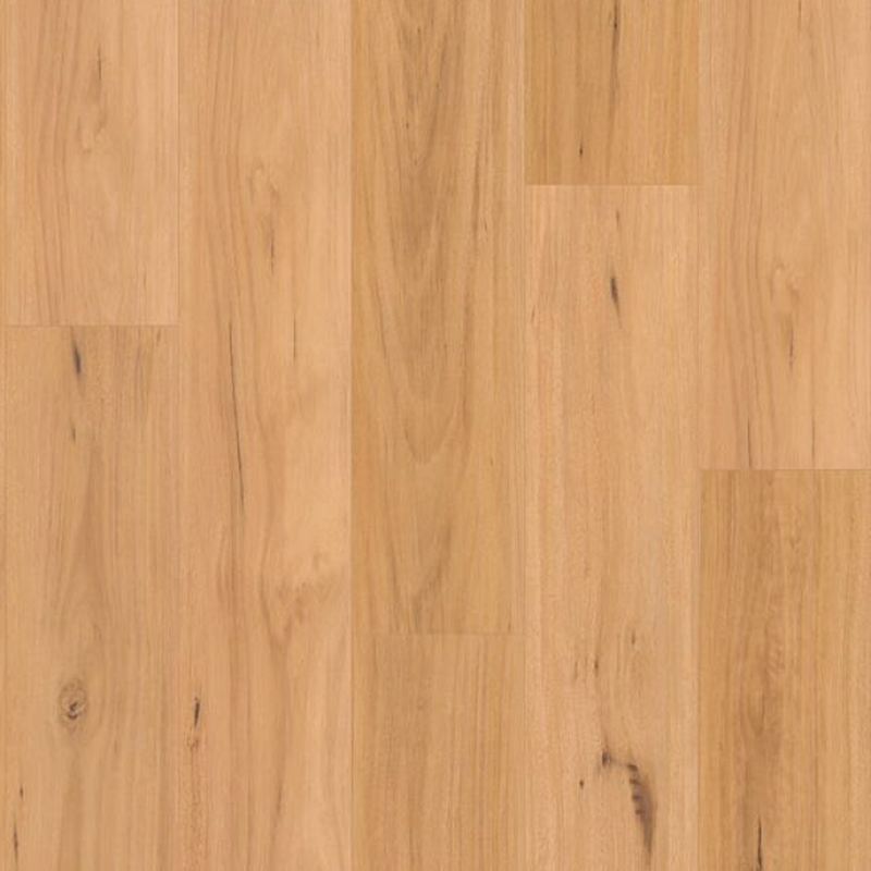 Blackbutt - 12.3mm Premium Laminate Flooring