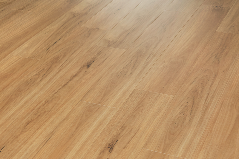 Blackbutt - 8.3mm Laminate Flooring
