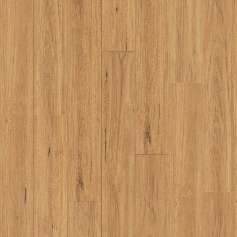Blackbutt - 8.3mm Laminate Flooring