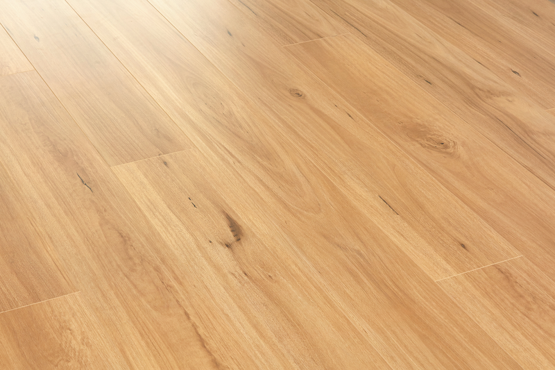 Blackbutt - 12.3mm Premium Laminate Flooring