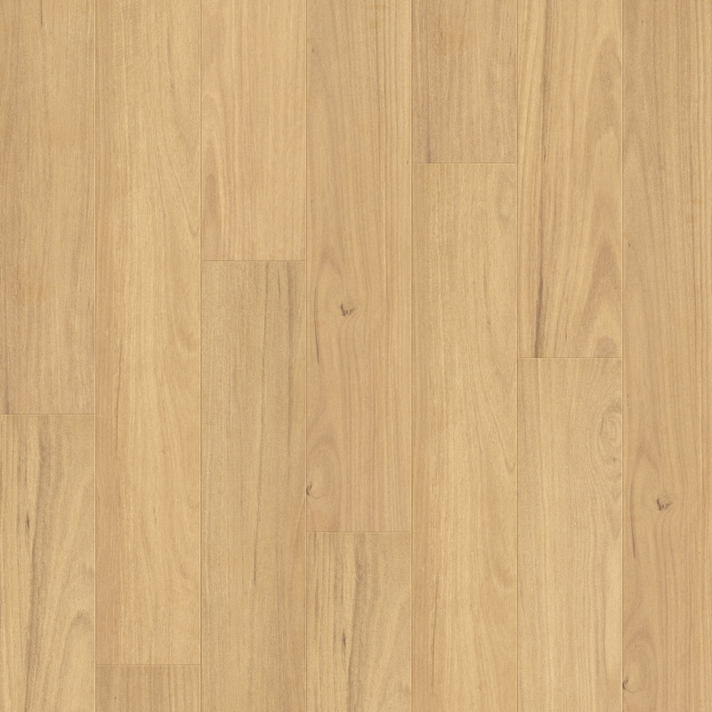 Native Blackbutt - 12.3mm AquaStep Laminate