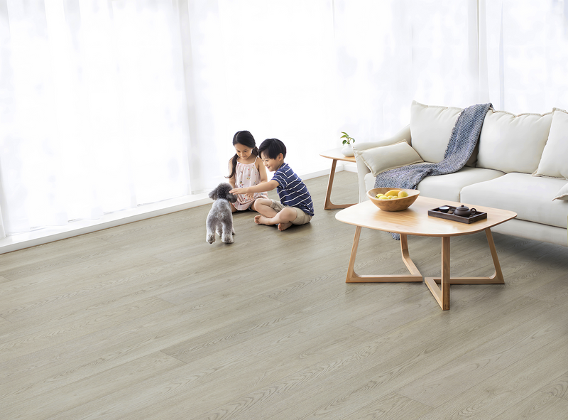 Light Grey - 12.3mm Premium Laminate Flooring