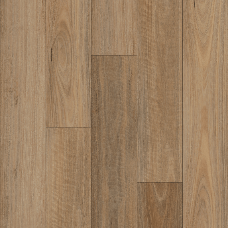 Northern Spotted Gum - 12.3mm Embossed Laminate