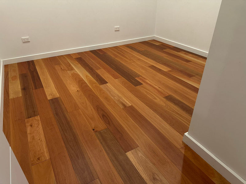 Blue Gum (18mm Solid Timber - Prefinished)