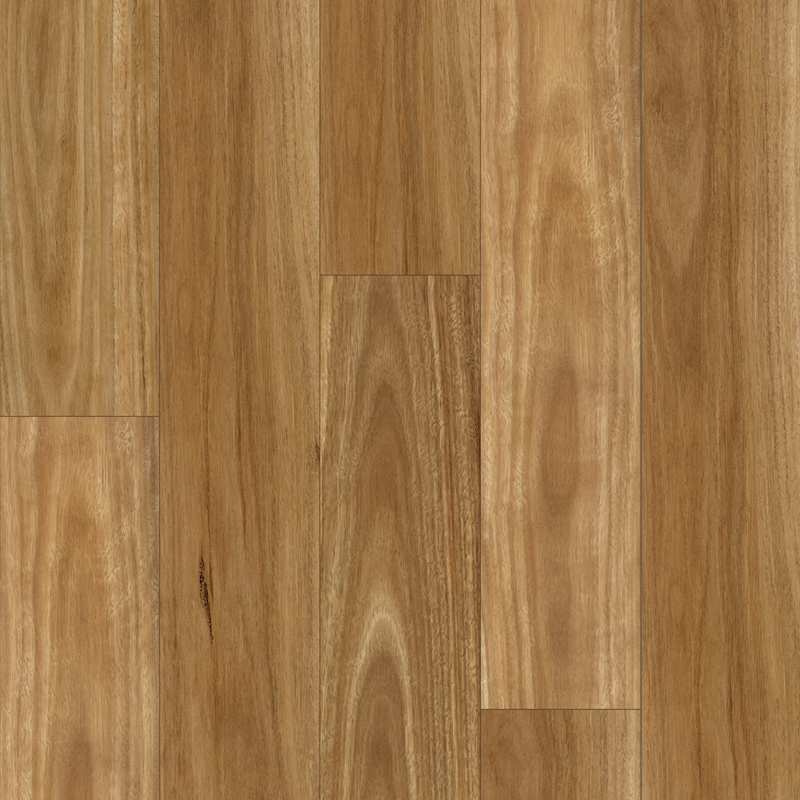 Coastal Spotted Gum - 12.3mm Laminate Flooring