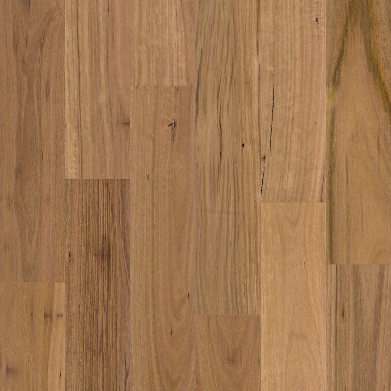 Blackbutt - Matte Brushed Engineered Australian Timber Flooring (14mm/3.2mm)