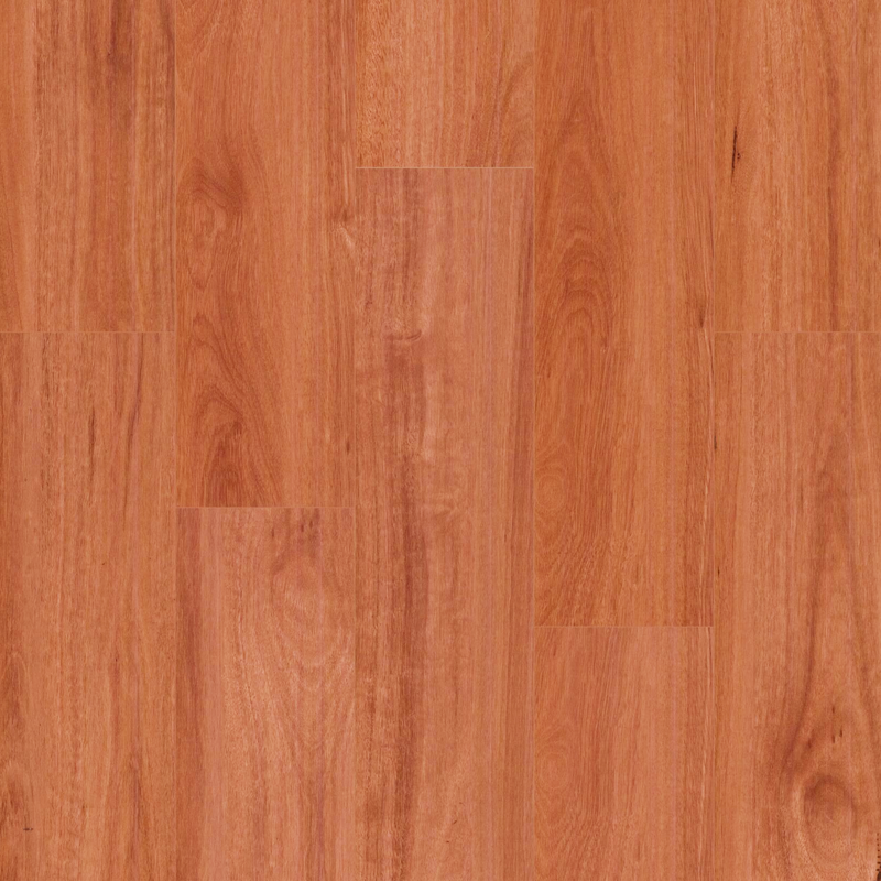 Blue Gum - 12.3mm Premium Laminate Flooring