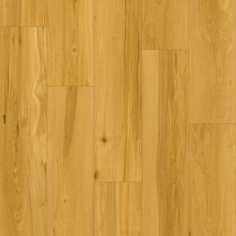 Pine - 12.3mm Gloss Laminate Flooring