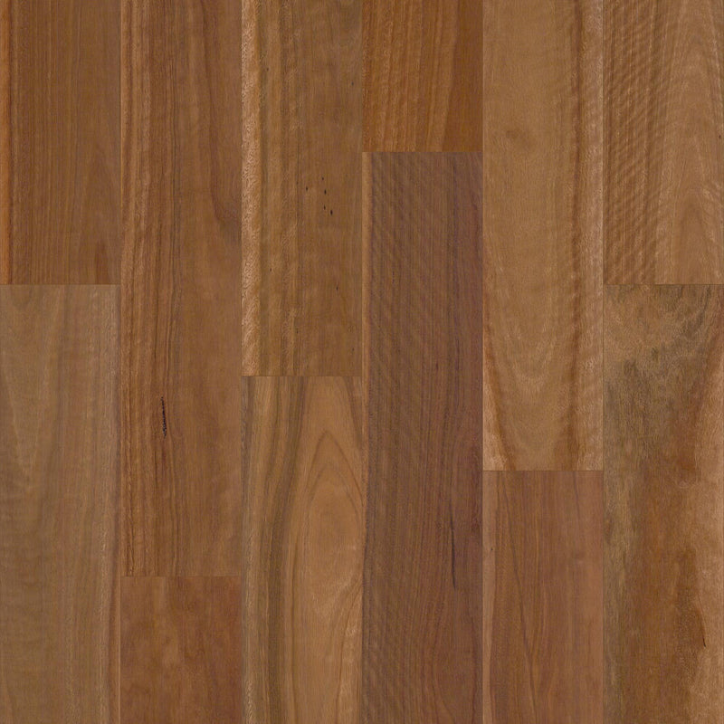 Spotted Gum - Matte Brushed Engineered Flooring (14mm/3.2mm)